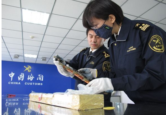 HST國(guó)際快遞清關(guān)需要多久？快速解答您的疑問(wèn)